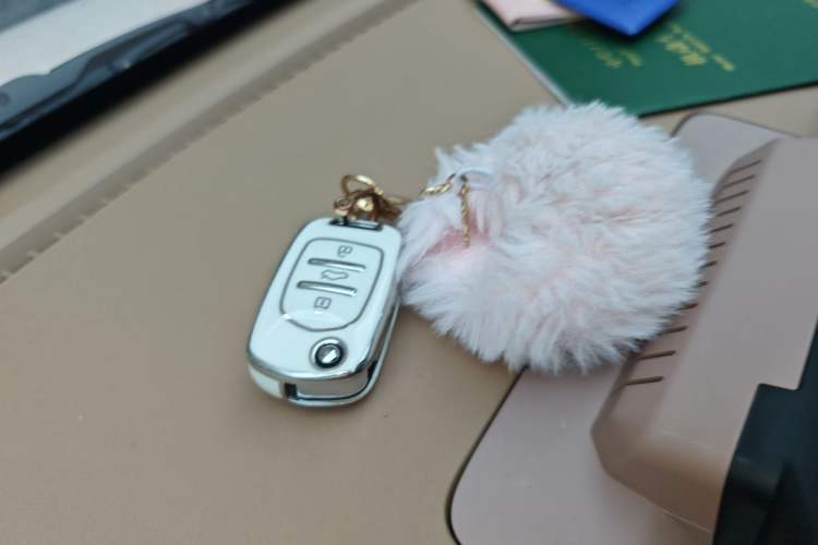 Used Wuling Hongguang MINIEV 2024 3rd Generation 215km Youth Edition Vehicle Key