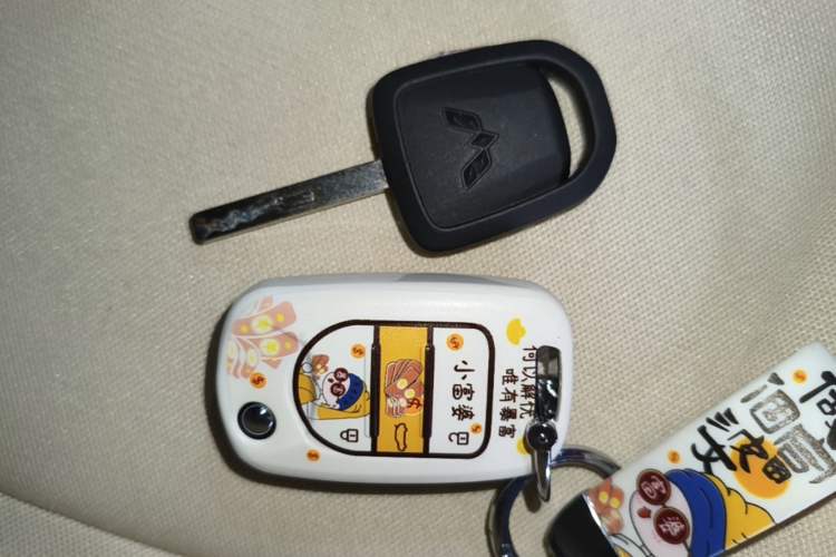 Used Wuling Hongguang MINIEV 2024 3rd Generation 215km Youth Edition Vehicle Key