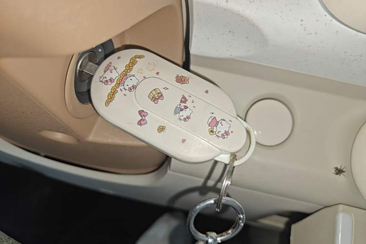 Used Wuling Hongguang MINIEV 2024 3rd Generation 215km Advanced Version Vehicle Key