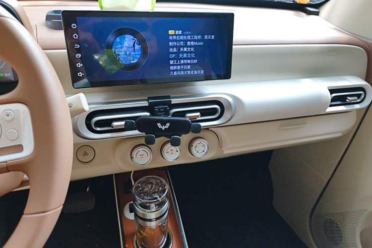 Used Wuling Hongguang MINIEV 2024 3rd Generation 215km Youth Edition Audio And AC Panel