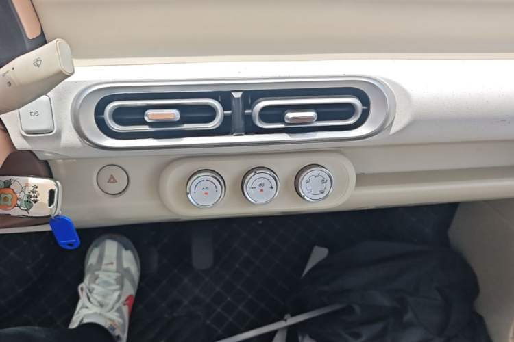 Used Wuling Hongguang MINIEV 2024 3rd Generation 215km Youth Edition Audio And AC Panel