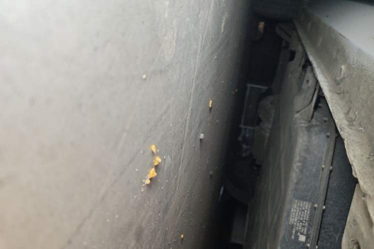 Used Wuling Hongguang MINIEV 2024 3rd Generation 215km Youth Edition Chassis Front Right