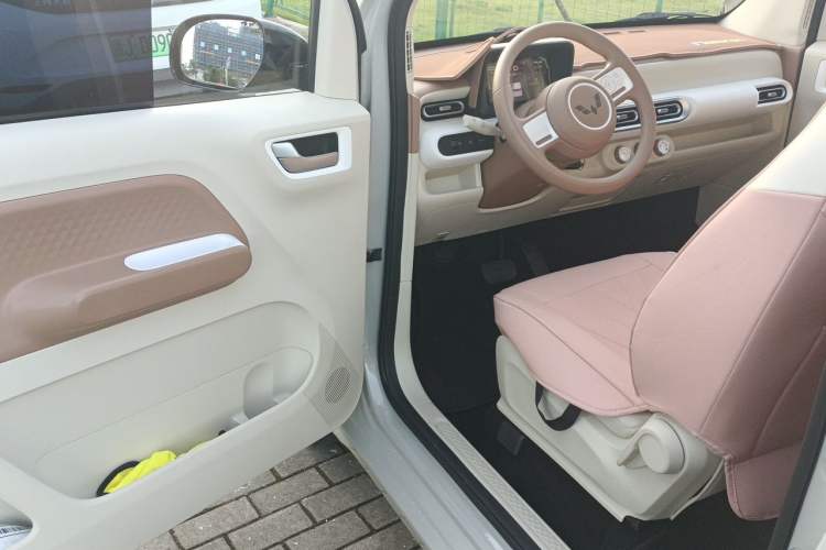 Used Wuling Hongguang MINIEV 2024 3rd Generation 215km Youth Edition Driver Seat