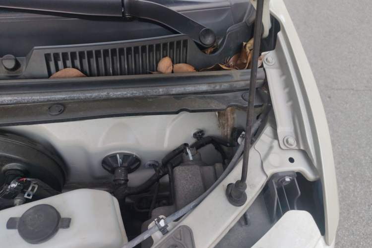 Used Wuling Hongguang MINIEV 2024 3rd Generation 215km Advanced Version Engine Bay Left
