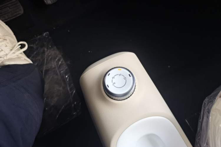 Used Wuling Hongguang MINIEV 2024 3rd Generation 215km Youth Edition Gear Lever