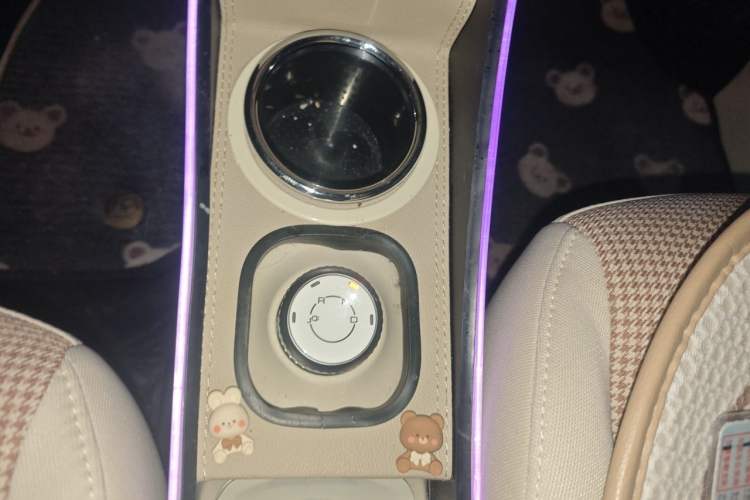 Used Wuling Hongguang MINIEV 2024 3rd Generation 215km Youth Edition Gear Lever