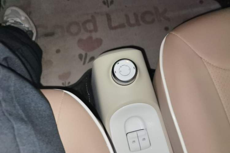 Used Wuling Hongguang MINIEV 2024 3rd Generation 215km Youth Edition Gear Lever