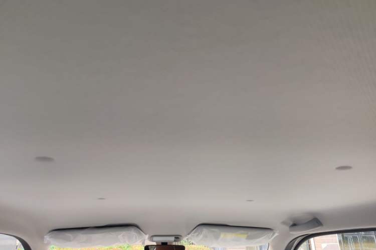Used Wuling Hongguang MINIEV 2024 3rd Generation 215km Youth Edition Headliner