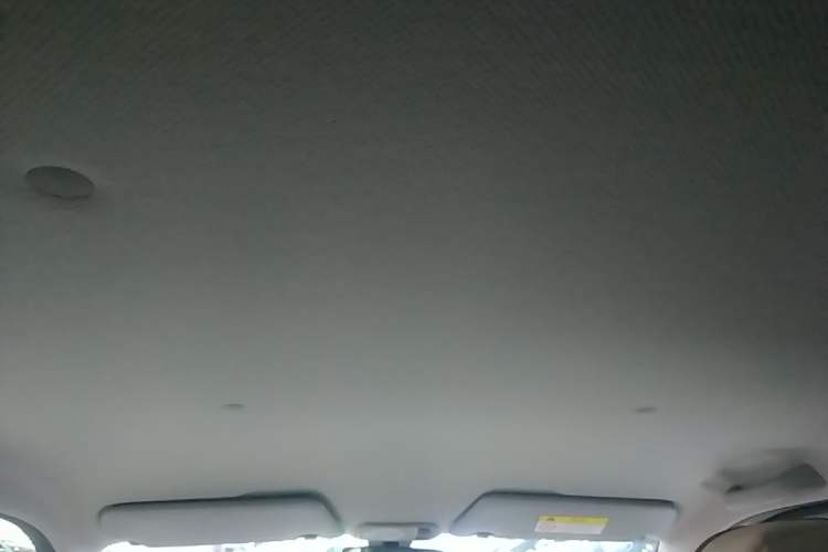 Used Wuling Hongguang MINIEV 2024 3rd Generation 215km Youth Edition Headliner