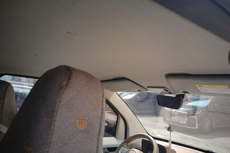 Used Wuling Hongguang MINIEV 2024 3rd Generation 215km Youth Edition Headliner