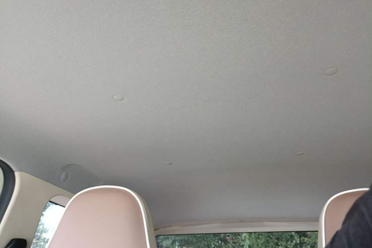 Used Wuling Hongguang MINIEV 2024 3rd Generation 215km Youth Edition Headliner