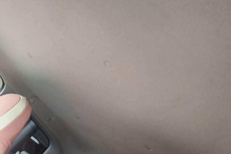 Used Wuling Hongguang MINIEV 2024 3rd Generation 215km Youth Edition Headliner