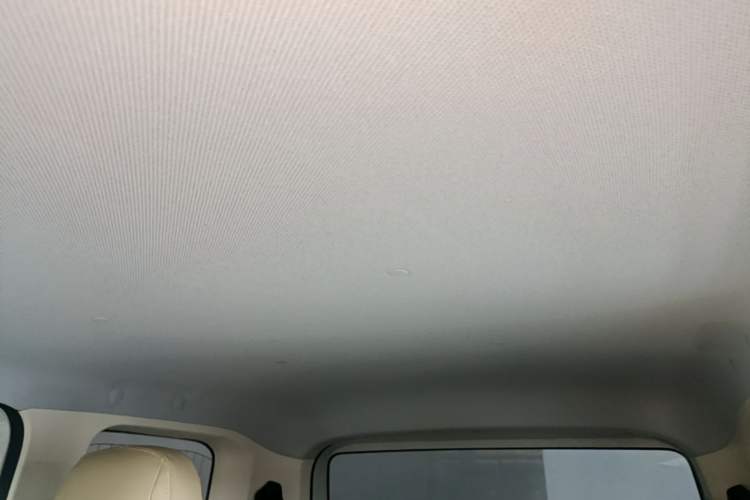 Used Wuling Hongguang MINIEV 2024 3rd Generation 215km Youth Edition Headliner