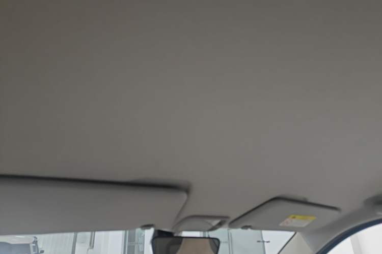 Used Wuling Hongguang MINIEV 2024 3rd Generation 215km Youth Edition Headliner