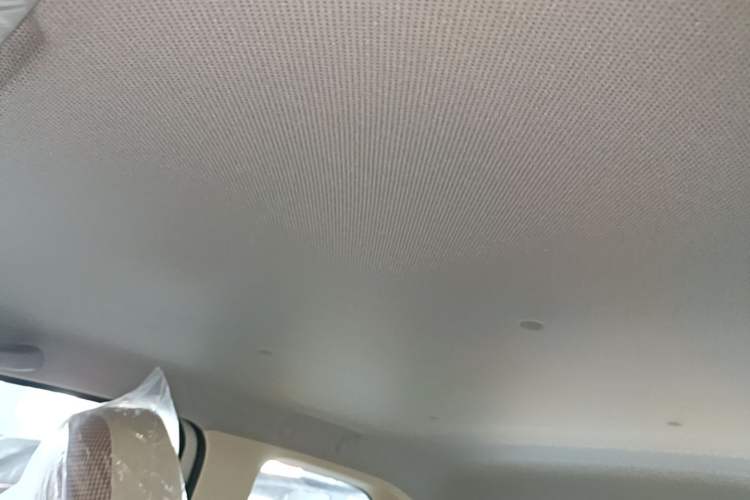 Used Wuling Hongguang MINIEV 2024 3rd Generation 215km Youth Edition Headliner