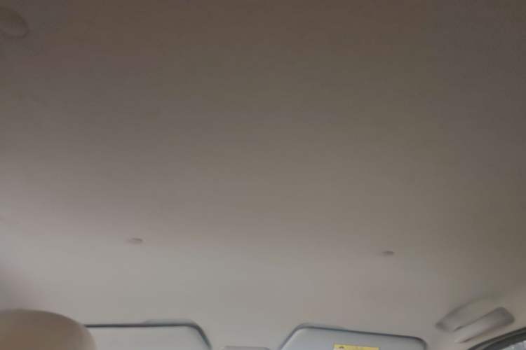 Used Wuling Hongguang MINIEV 2024 3rd Generation 215km Youth Edition Headliner
