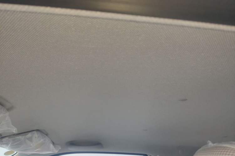 Used Wuling Hongguang MINIEV 2024 3rd Generation 215km Youth Edition Headliner