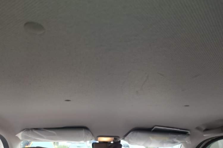 Used Wuling Hongguang MINIEV 2024 3rd Generation 215km Youth Edition Headliner
