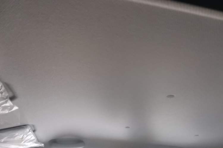Used Wuling Hongguang MINIEV 2024 3rd Generation 215km Youth Edition Headliner