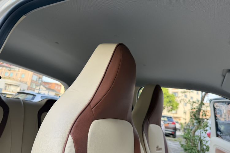 Used Wuling Hongguang MINIEV 2024 3rd Generation 215km Youth Edition Headliner