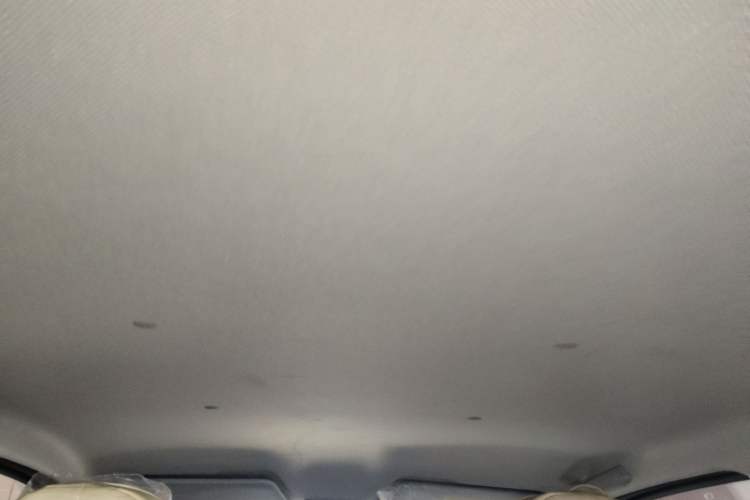 Used Wuling Hongguang MINIEV 2024 3rd Generation 215km Youth Edition Headliner