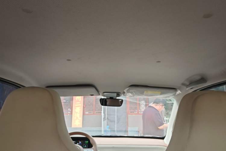 Used Wuling Hongguang MINIEV 2024 3rd Generation 215km Youth Edition Headliner