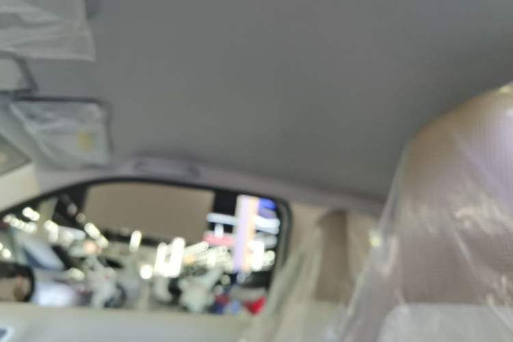 Used Wuling Hongguang MINIEV 2024 3rd Generation 215km Youth Edition Headliner