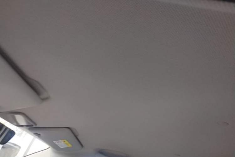Used Wuling Hongguang MINIEV 2024 3rd Generation 215km Youth Edition Headliner
