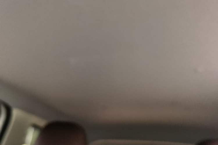 Used Wuling Hongguang MINIEV 2024 3rd Generation 215km Youth Edition Headliner