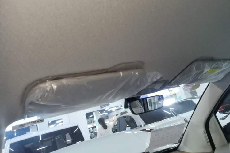 Used Wuling Hongguang MINIEV 2024 3rd Generation 215km Youth Edition Headliner