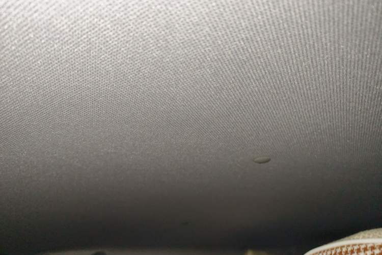 Used Wuling Hongguang MINIEV 2024 3rd Generation 215km Youth Edition Headliner