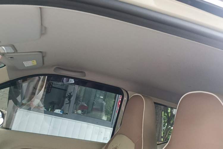 Used Wuling Hongguang MINIEV 2024 3rd Generation 215km Youth Edition Headliner