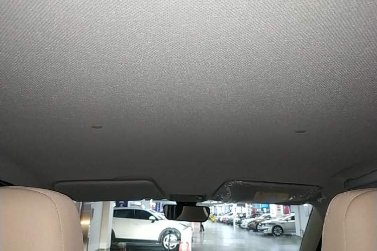 Used Wuling Hongguang MINIEV 2024 3rd Generation 215km Youth Edition Headliner