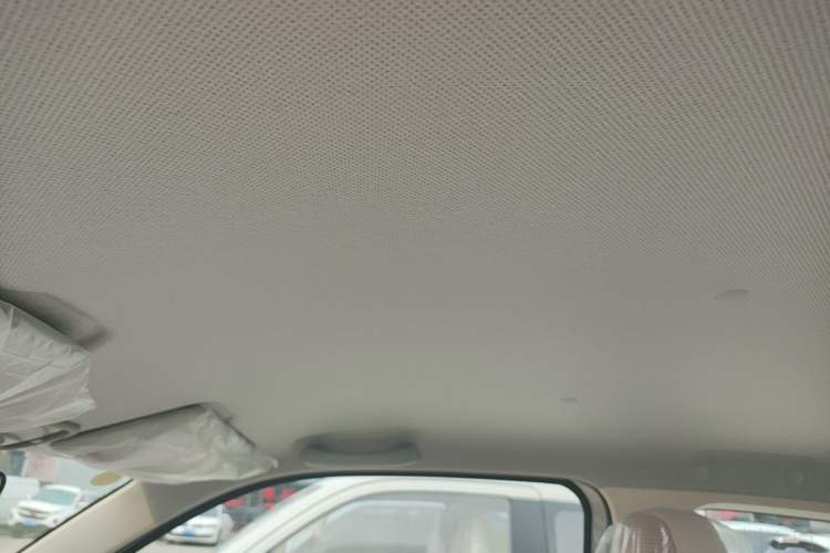 Used Wuling Hongguang MINIEV 2024 3rd Generation 215km Youth Edition Headliner