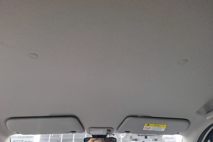Used Wuling Hongguang MINIEV 2024 3rd Generation 215km Youth Edition Headliner