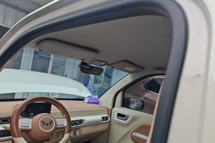 Used Wuling Hongguang MINIEV 2024 3rd Generation 215km Youth Edition Headliner