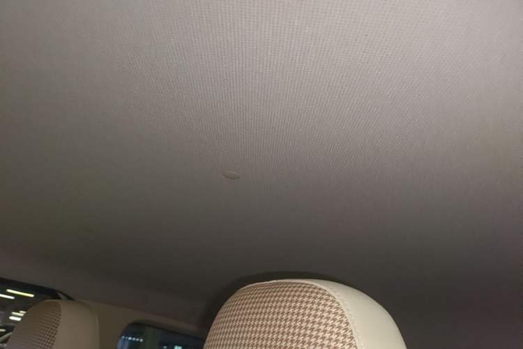 Used Wuling Hongguang MINIEV 2024 3rd Generation 215km Youth Edition Headliner