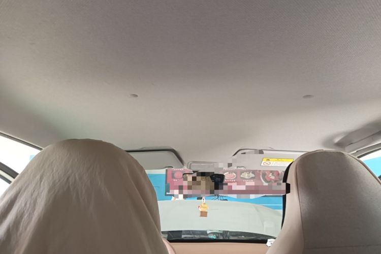 Used Wuling Hongguang MINIEV 2024 3rd Generation 215km Youth Edition Headliner