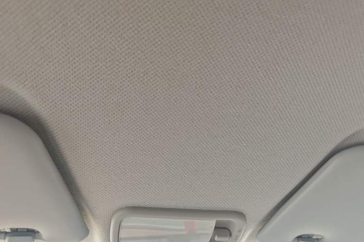 Used Wuling Hongguang MINIEV 2024 3rd Generation 215km Youth Edition Headliner