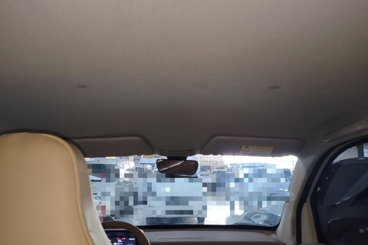 Used Wuling Hongguang MINIEV 2024 3rd Generation 215km Youth Edition Headliner