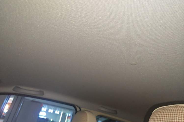Used Wuling Hongguang MINIEV 2024 3rd Generation 215km Youth Edition Headliner