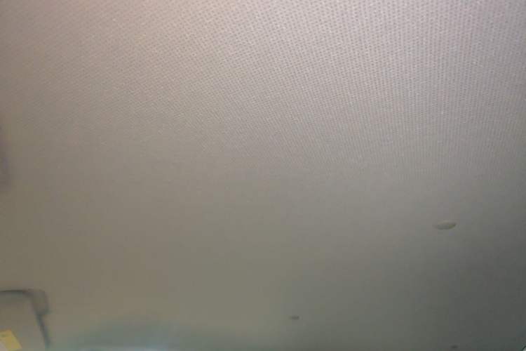 Used Wuling Hongguang MINIEV 2024 3rd Generation 170 km Headliner