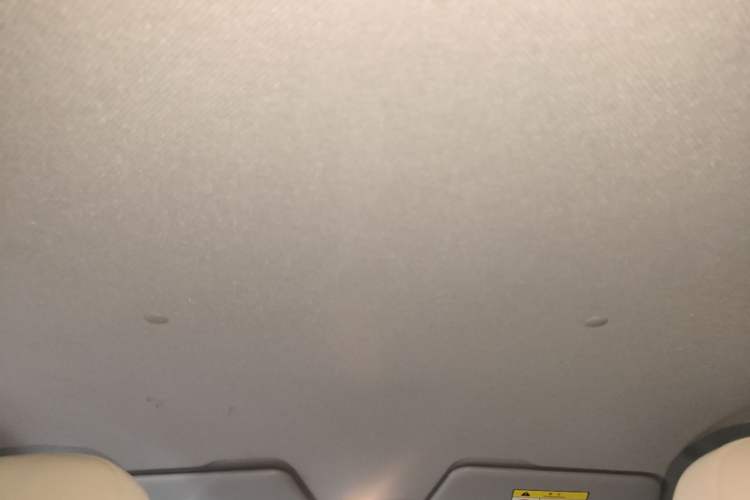 Used Wuling Hongguang MINIEV 2024 3rd Generation 215km Youth Edition Headliner