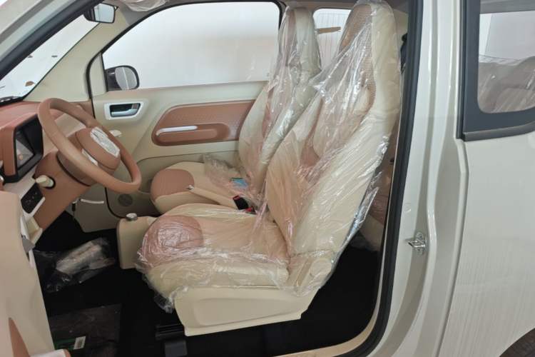 Used Wuling Hongguang MINIEV 2024 3rd Generation 215km Youth Edition Left Front Seat