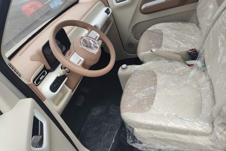 Used Wuling Hongguang MINIEV 2024 3rd Generation 215km Youth Edition Left Front Seat