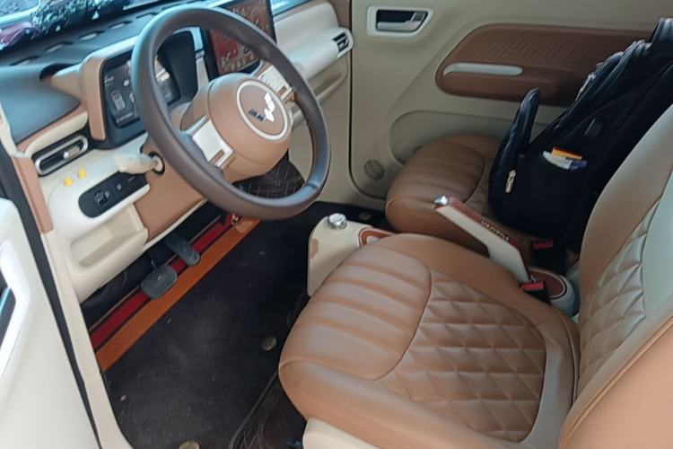 Used Wuling Hongguang MINIEV 2024 3rd Generation 215km Youth Edition Left Front Seat