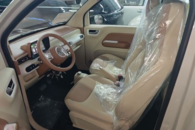 Used Wuling Hongguang MINIEV 2024 3rd Generation 215km Youth Edition Left Front Seat