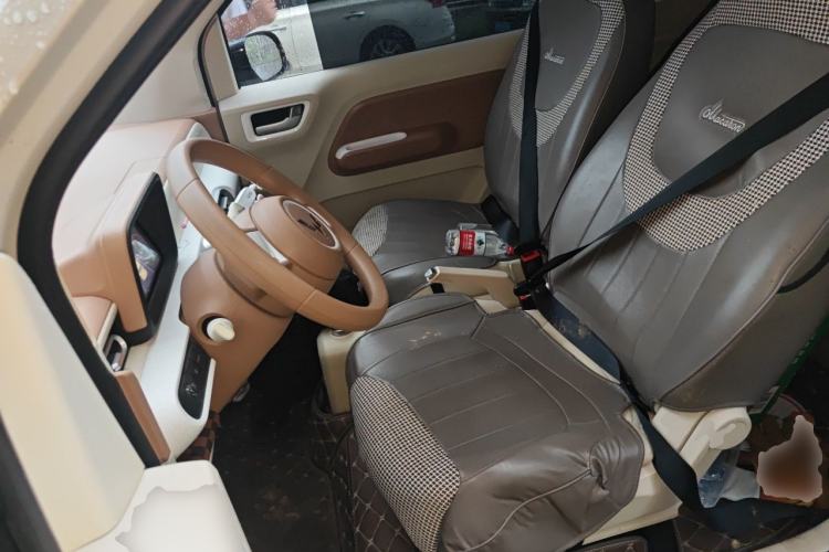 Used Wuling Hongguang MINIEV 2024 3rd Generation 215km Youth Edition Left Front Seat