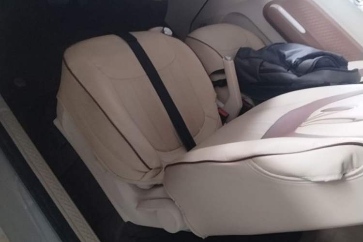 Used Wuling Hongguang MINIEV 2024 3rd Generation 215km Youth Edition Left Front Seat