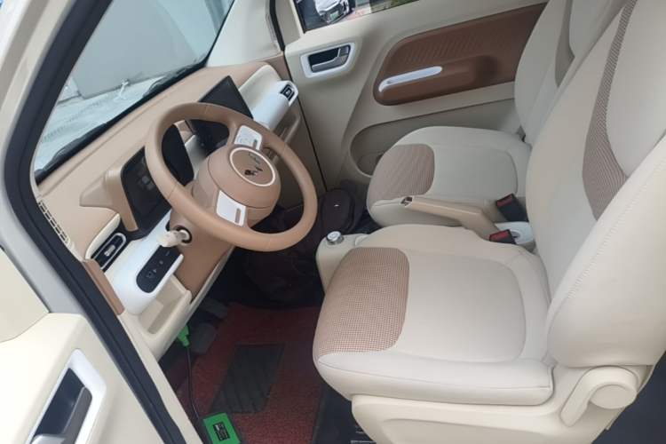 Used Wuling Hongguang MINIEV 2024 3rd Generation 215km Youth Edition Left Front Seat